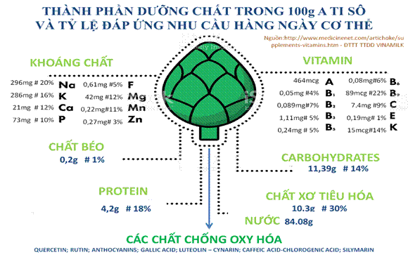Atisô gắn liền với xu hướng sống xanh Atisô gắn liền với xu hướng sống xanh