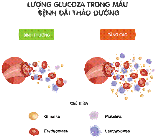 Chế độ ăn uống và bệnh đái tháo đường