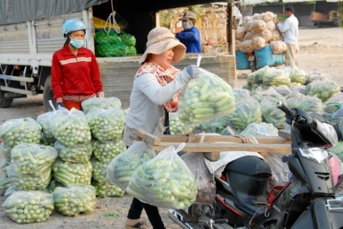 Chi phí vận chuyển “đè” nông sản