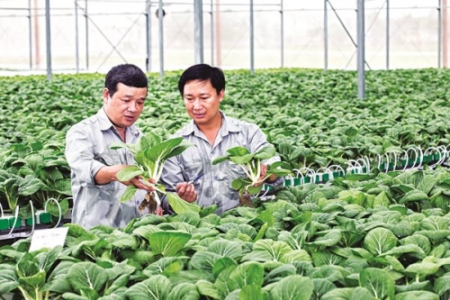 “Kỷ cương, liêm chính, hành động, sáng tạo, hiệu quả”