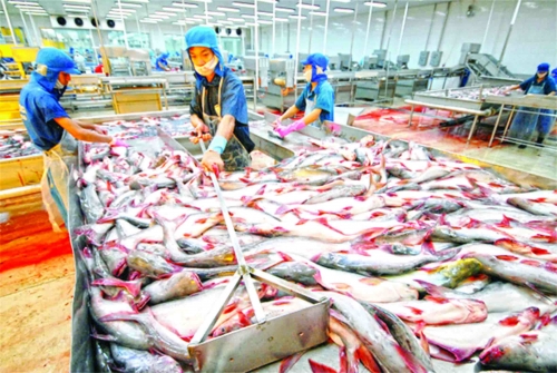 Thủy sản: Điểm sáng ấn tượng năm 2018