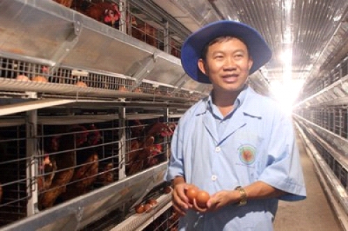 Gắn đồng vốn với nền nông nghiệp sạch Gắn đồng vốn với nền nông nghiệp sạch