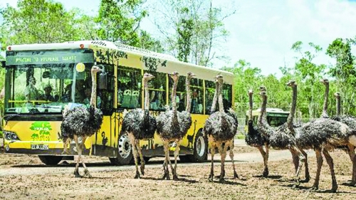 Bất động sản nghỉ dưỡng: Sân chơi lớn và chuyên nghiệp Bất động sản nghỉ dưỡng: Sân chơi lớn và chuyên nghiệp