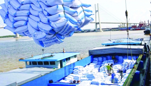 Cần đầu tư bài bản cho thương hiệu gạo