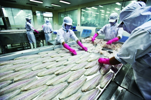 Xuất khẩu thủy sản: Vẫn duy trì được lợi thế