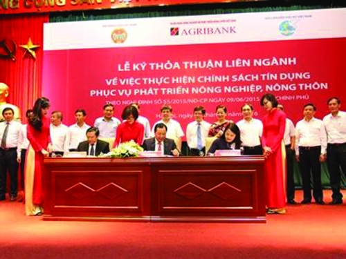 Đa dạng kênh dẫn vốn, đẩy lùi nạn tín dụng đen