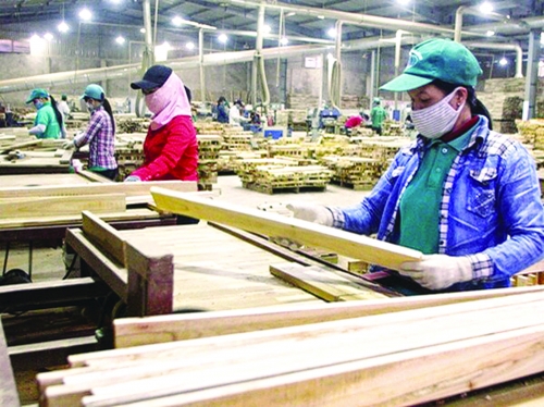 Để hóa giải những nguy cơ trong ngành gỗ Để hóa giải những nguy cơ trong ngành gỗ