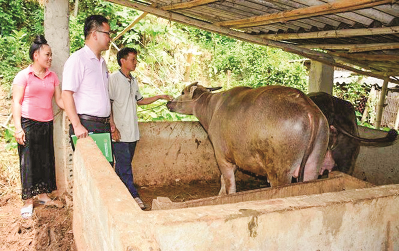 Những chuyện mừng từ đồng vốn chính sách Những chuyện mừng từ đồng vốn chính sách