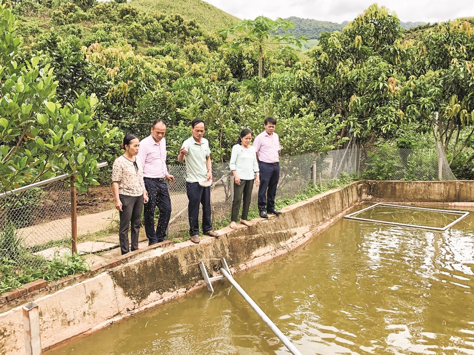 tin dung uu dai chap canh cho nhung khat vong