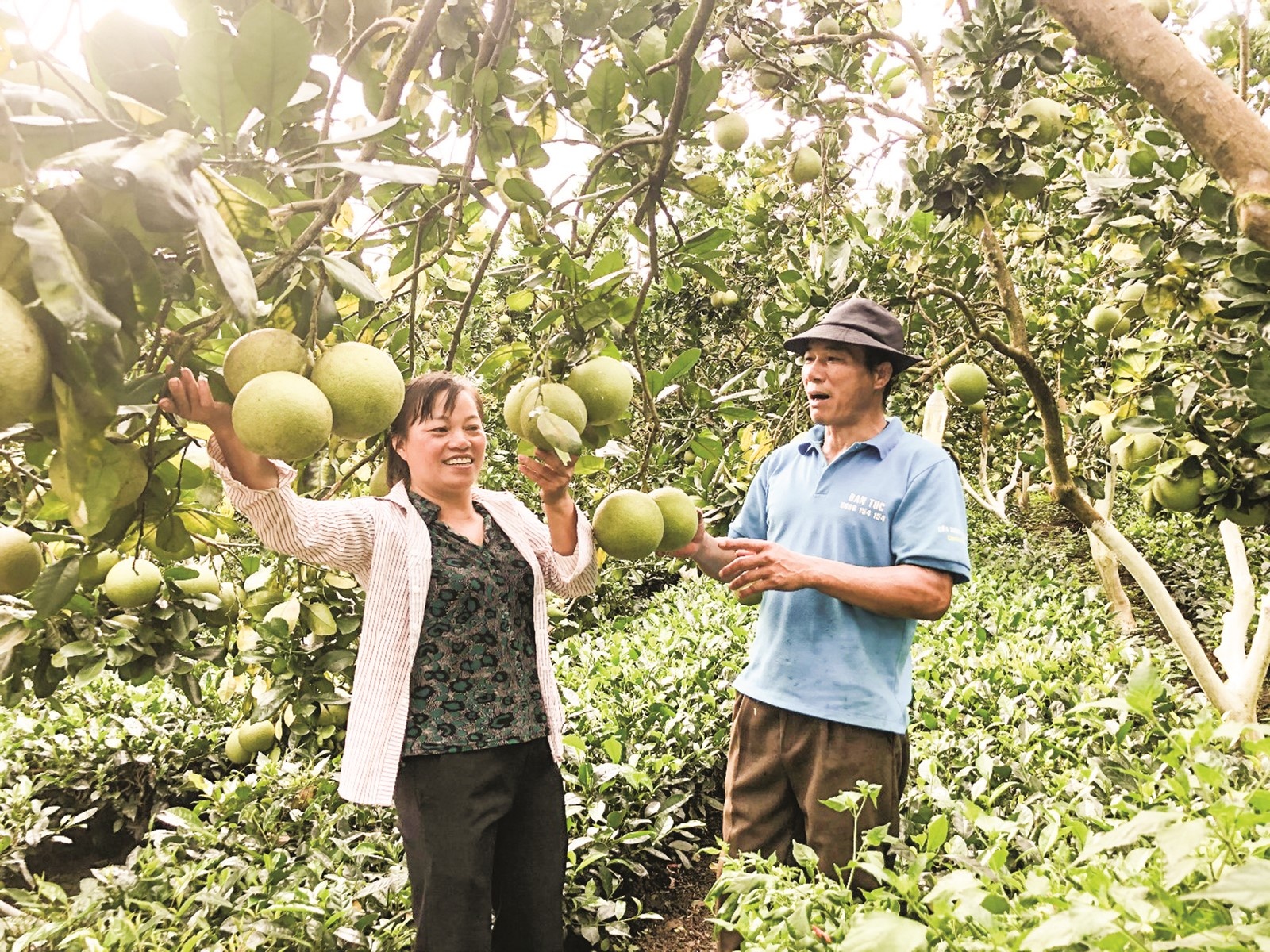 tin dung uu dai chap canh cho nhung khat vong