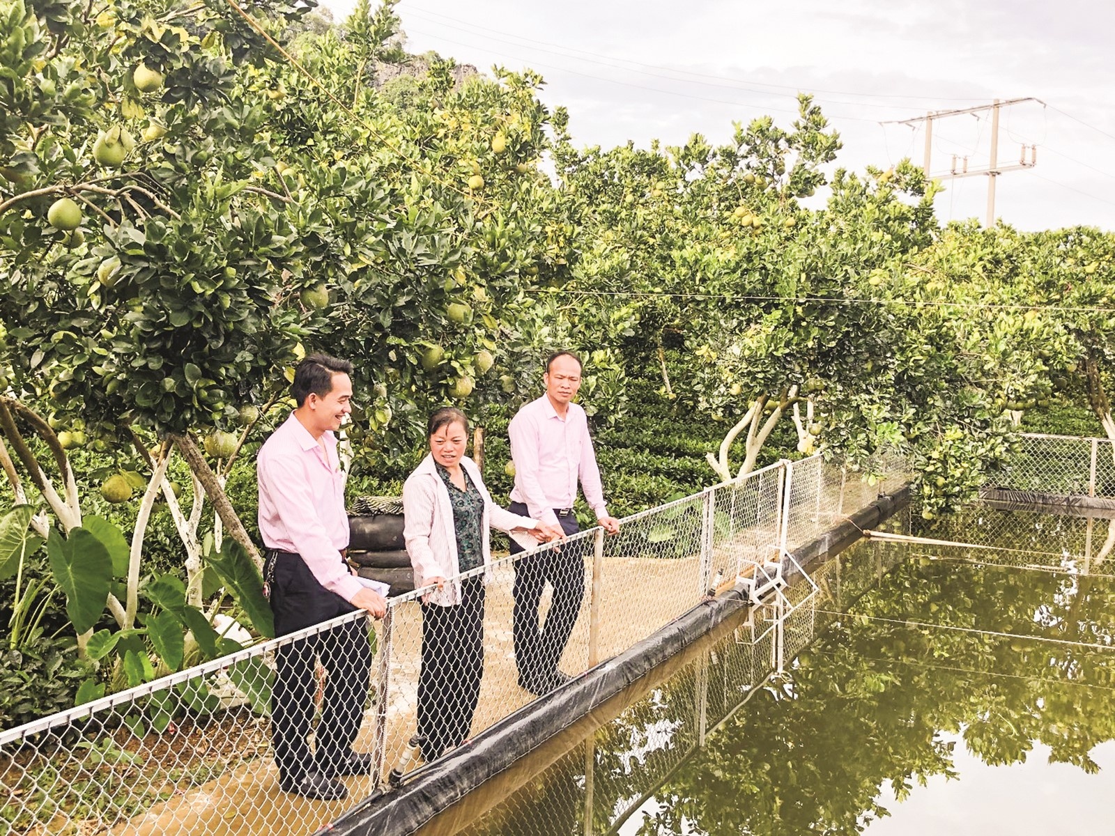 tin dung uu dai chap canh cho nhung khat vong