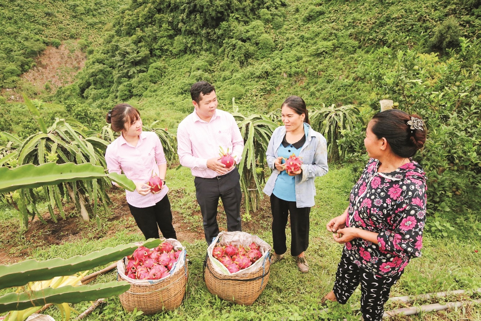 tin dung uu dai chap canh cho nhung khat vong
