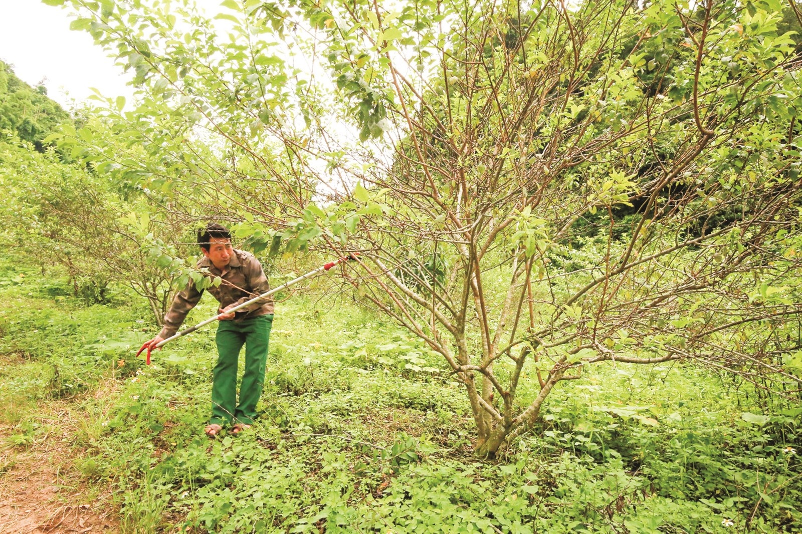 tin dung uu dai chap canh cho nhung khat vong