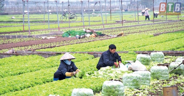 xay dung he sinh thai rieng cho kinh te tap the