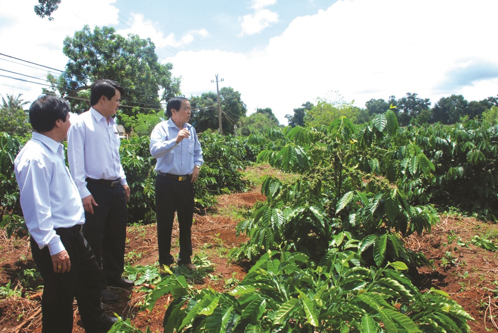 Hàng nông sản vẫn đối mặt với nhiều thách thức hang nong san van doi mat voi nhieu thach thuc