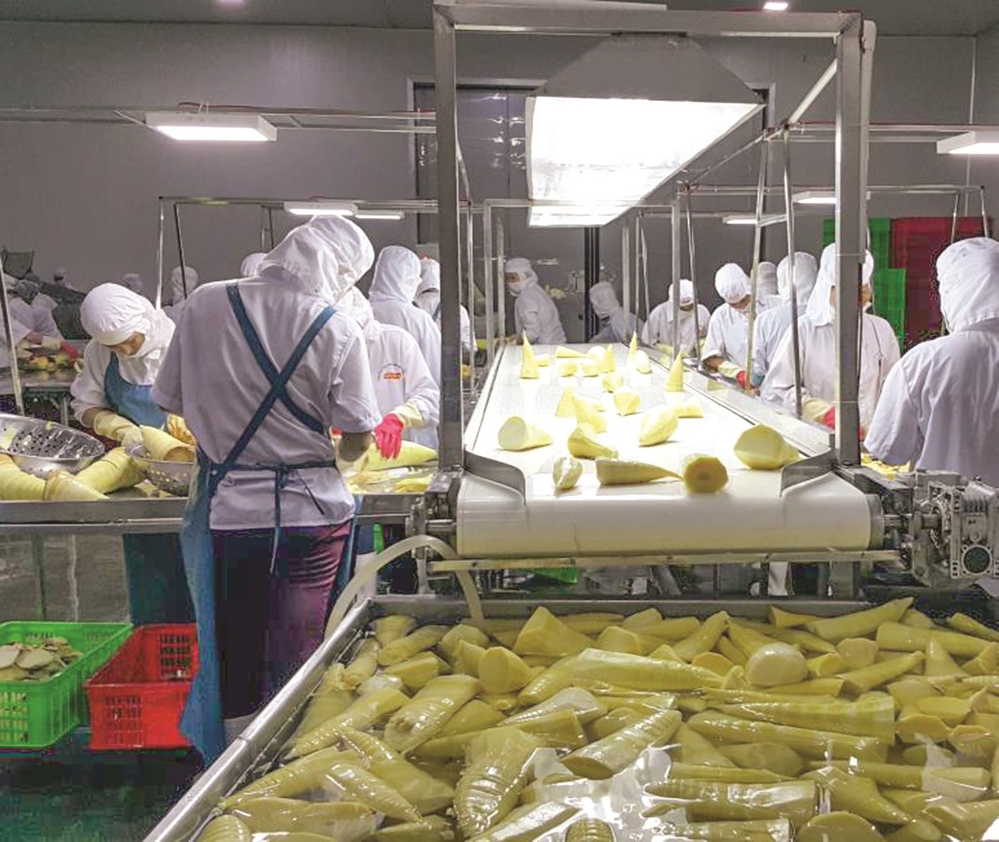 Thách thức và cơ hội cho ngành chế biến thực phẩm thach thuc va co hoi cho nganh che bien thuc pham