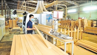 Giữ nguyên liệu gỗ cho sản xuất trong nước