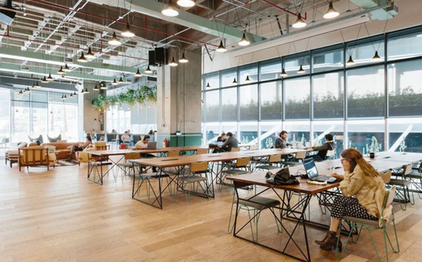 cushman wakefield dau tu 150 trieu usd vao wework