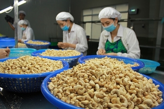 Tận dụng cơ hội xuất khẩu sản phẩm nông nghiệp Việt Nam