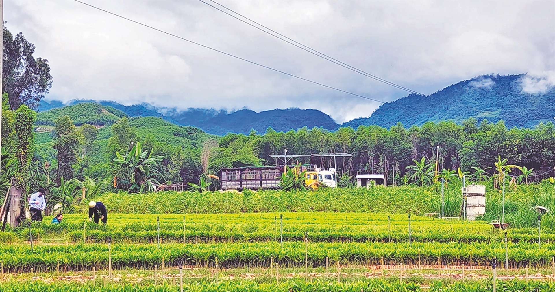 tin dung uu dai tren que huong nui an song tra