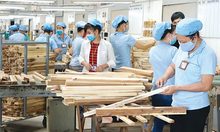 nganh go doi dien voi dieu tra phong ve thuong mai