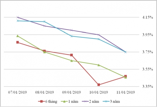 Thị trường TPCP ngày 11/1: Lãi suất thực hiện giảm ở hầu hết kỳ hạn ngắn