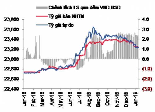 Cập nhật thị trường tiền tệ tuần từ 7-11/1