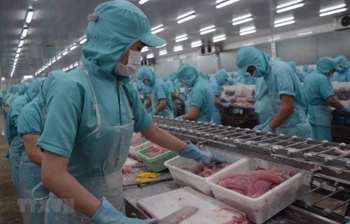 du bao loi nhuan doanh nghiep thuy san giam trong nam 2023