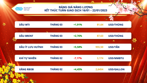 luc mua ap dao mxv index len cao nhat gan 1 thang