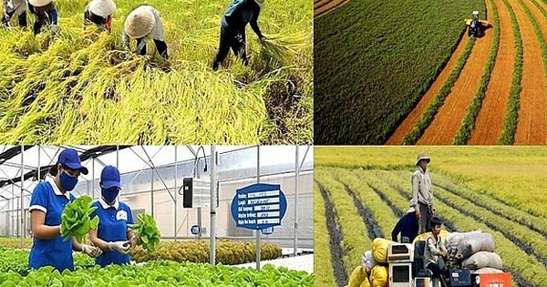 Chính sách mới có hiệu lực từ tháng 1/2026