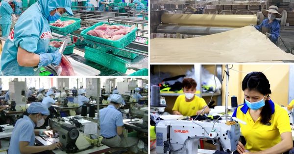 Chính sách ưu đãi thuế phát triển kinh tế tư nhân