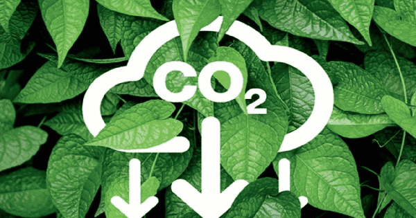 Quy định về sàn giao dịch các-bon trong nước