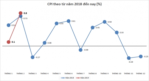 Tết Nguyên đán đẩy CPI tháng 2/2019 tăng đột biến