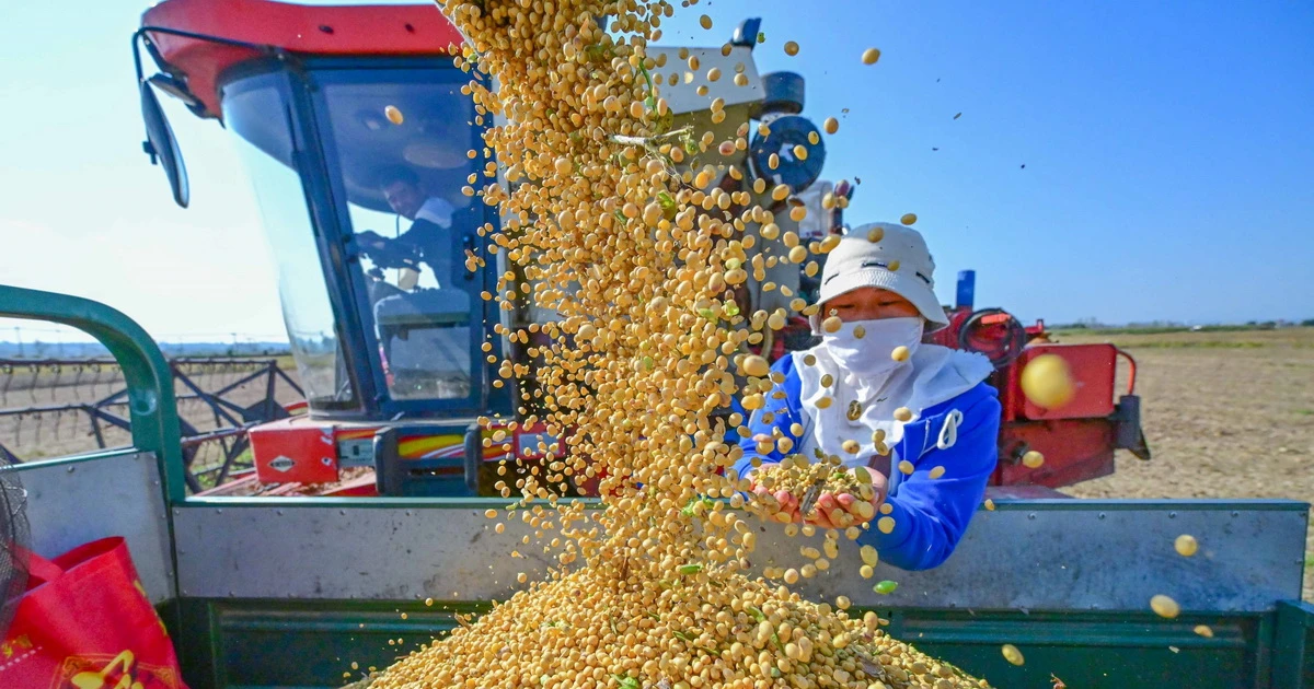 IMF: Kinh tế Trung Quốc tiếp tục giảm tốc đến năm 2028