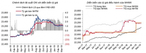 Cập nhật thị trường tiền tệ tuần từ 11-15/3/2019