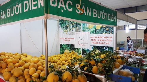 Hà Nội tính xây dựng chợ đầu mối quốc tế nông sản tại Gia Lâm