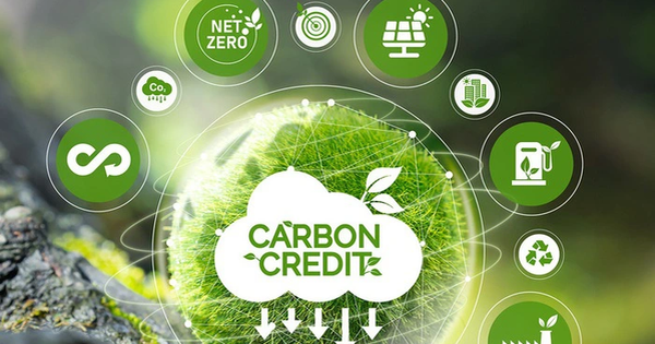 Đề xuất quy định về sàn giao dịch các-bon trong nước