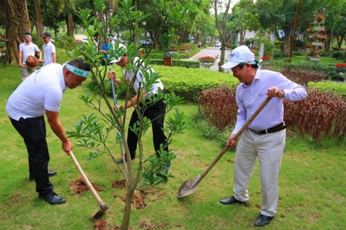 10.000 cây xanh được trồng trong Lễ phát động chiến dịch Go Green 2019 của Tập đoàn FLC 10.000 cây xanh được trồng trong Lễ phát động chiến dịch Go Green 2019 của Tập đoàn FLC