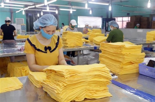 Chuyên gia WB: Việt Nam có thể là nước hưởng lợi nhiều nhất từ RCEP chuyen gia wb viet nam co the la nuoc huong loi nhieu nhat tu rcep