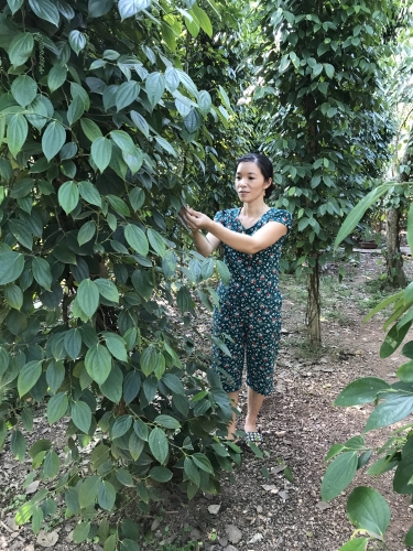 Quảng Bình: Thoát nghèo từ đồng vốn chính sách Quảng Bình: Thoát nghèo từ đồng vốn chính sách