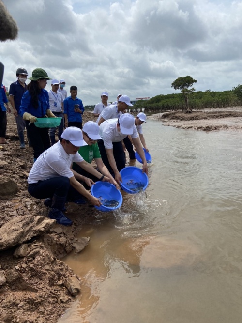 hanh dong de co duoc phuc hoi kinh te xanh va tang truong bao trum