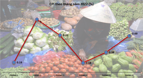 CPI tháng 6/2022 tăng 0,69% so với tháng trước