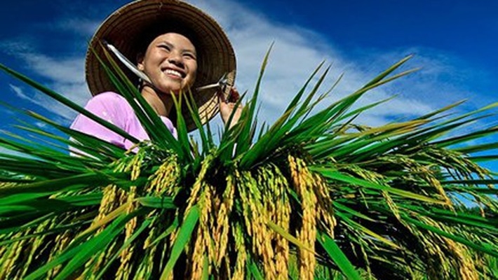 Thực hiện quy định về lãi suất cho vay đối với một số lĩnh vực ưu tiên