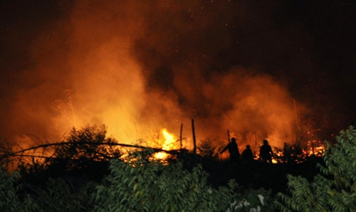 Cháy rừng lớn tại miền Trung: Cần chủ động phòng ngừa