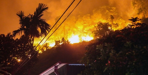 Cháy rừng lớn tại miền Trung: Cần chủ động phòng ngừa