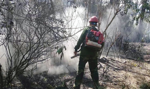Cháy rừng lớn tại miền Trung: Cần chủ động phòng ngừa