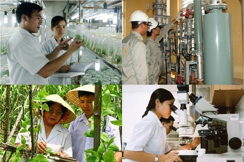 Miễn, giảm thuế cho doanh nghiệp khoa học và công nghệ Miễn, giảm thuế cho doanh nghiệp khoa học và công nghệ