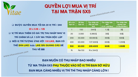 canh bao kinh doanh da cap trai phep tren nen tang thuong mai dien tu