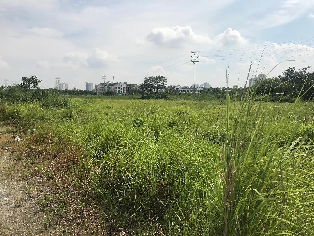 Hà Nội: 22 đơn vị bị thu hồi đất