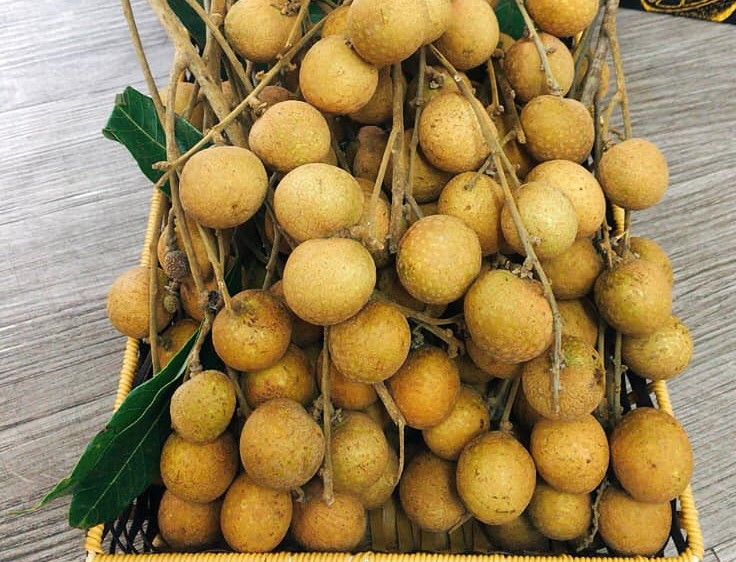 hoa qua viet nam xuat khau tro lai sang my